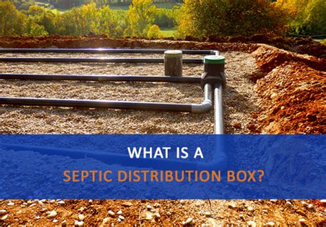 distribution box of disposal field|septic distribution box location.